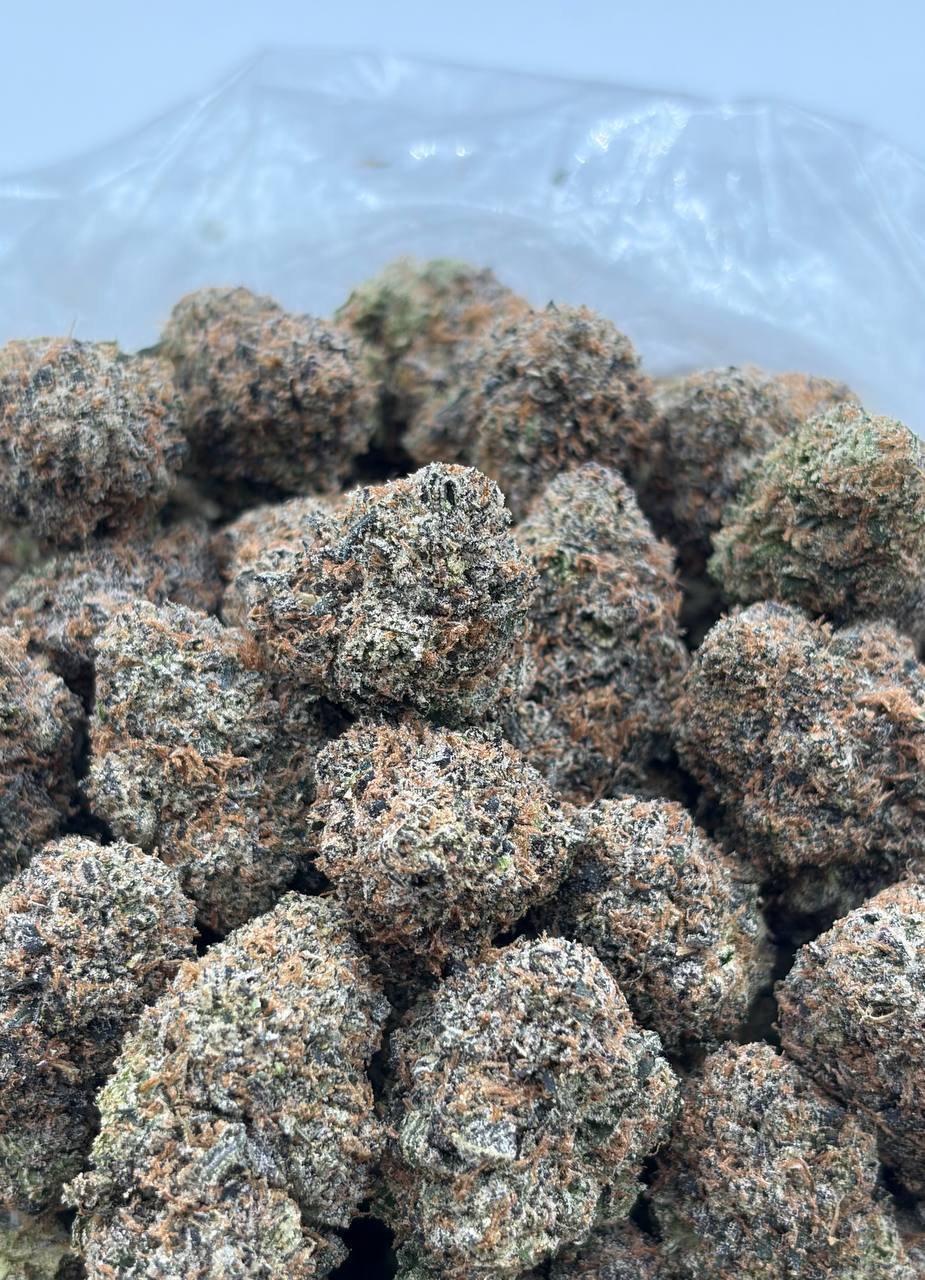 Garlicane Runtzino cannabis strain available for DC delivery