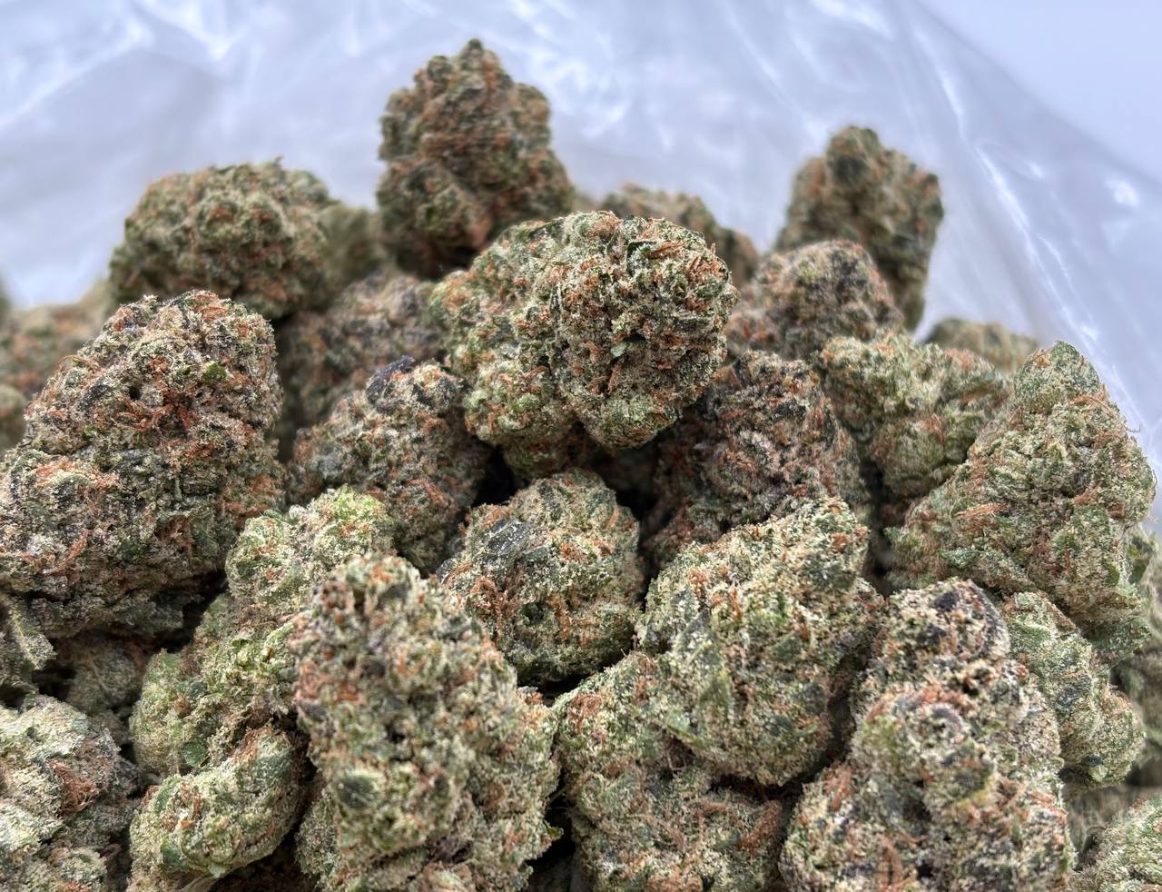 Gelato Candy Runtz cannabis strain available for DC delivery