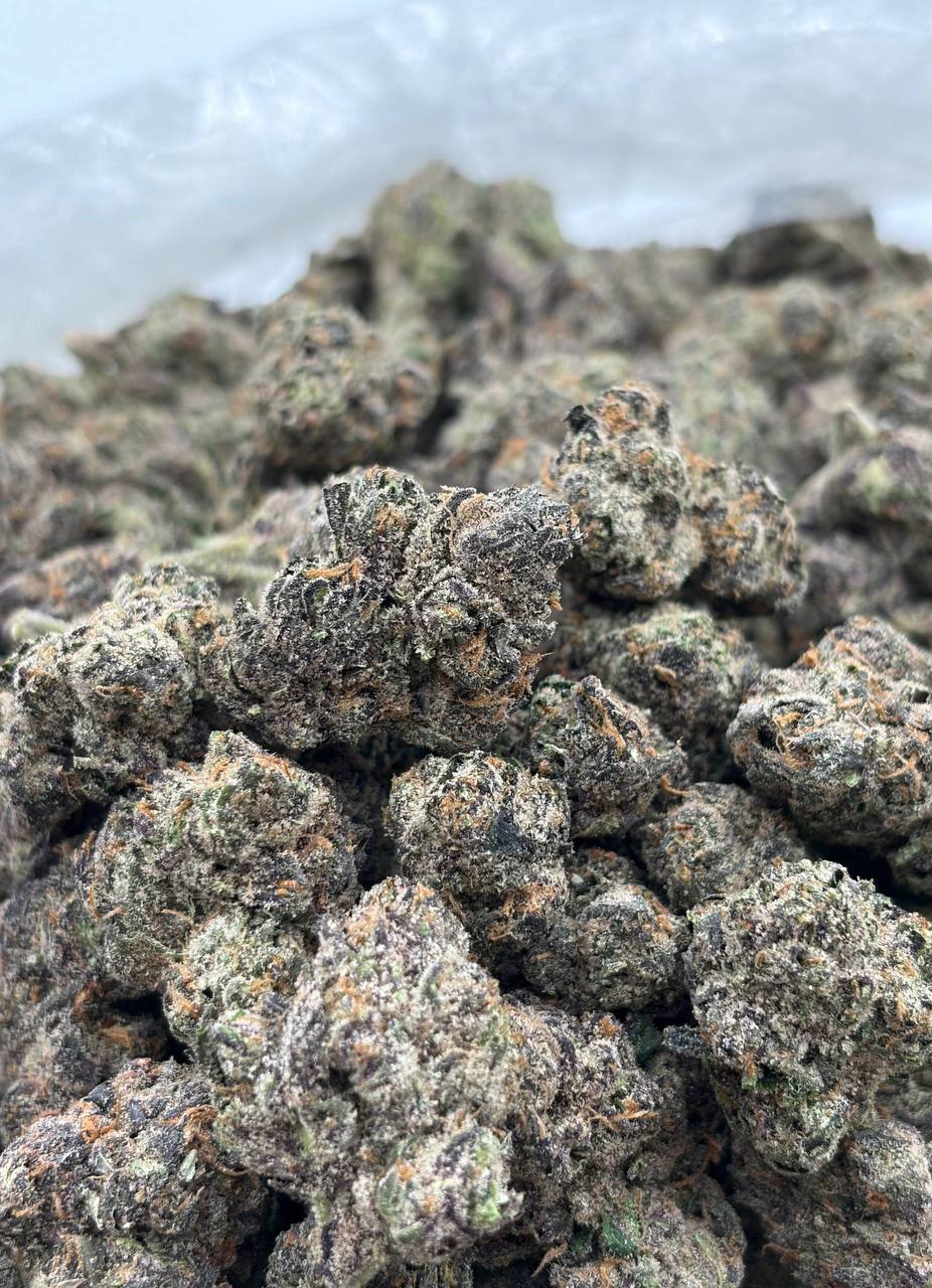 King Bolo Runtz cannabis strain available for DC delivery