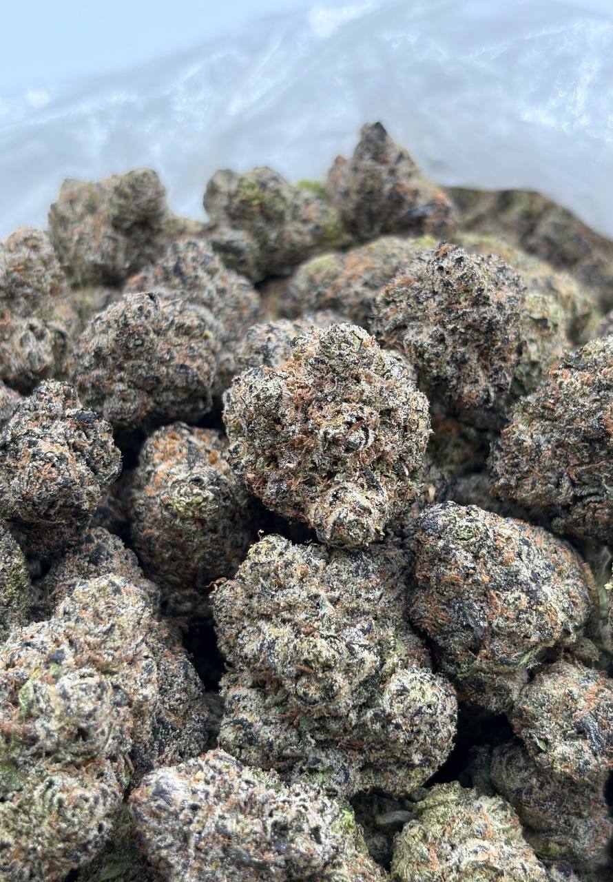 Lemon High Fructose cannabis strain available for DC delivery
