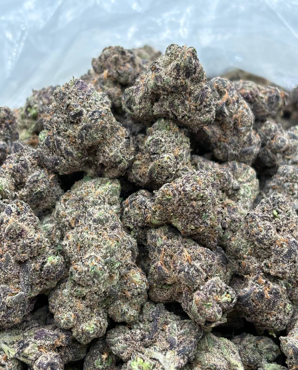 Louis V cannabis strain available for DC delivery