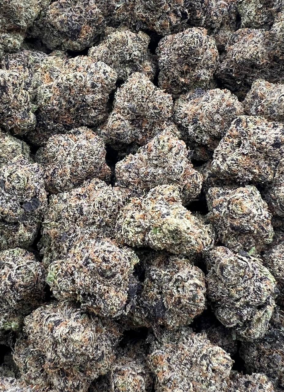 Swiss Caviar cannabis strain available for DC delivery