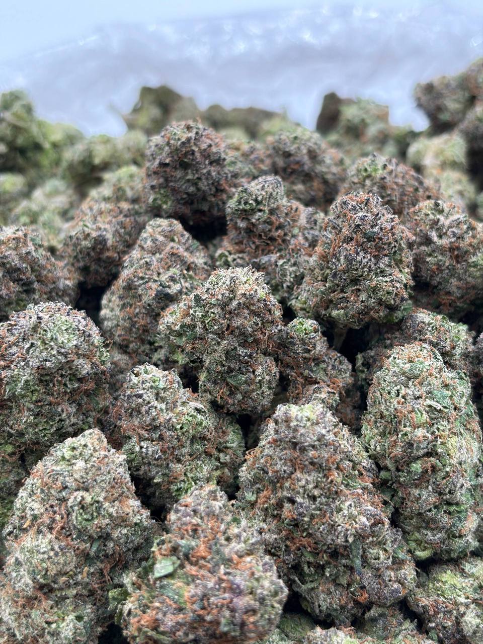 Watermelon Candy Crunch cannabis strain available for DC delivery
