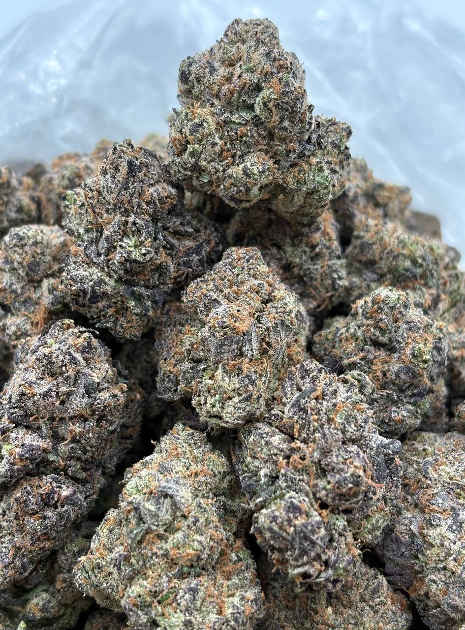 Zazooka cannabis strain available for DC delivery
